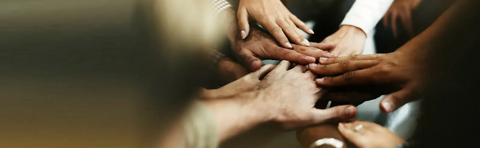 Join Our Free Vision Camps